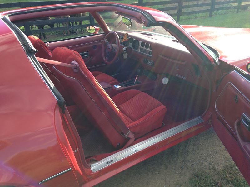 1980 Pontiac Firebird-Trans AM for sale by owner in Birnamwood