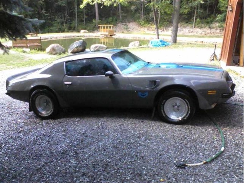 1974 Pontiac Trans Am for sale by owner in HONEOYE