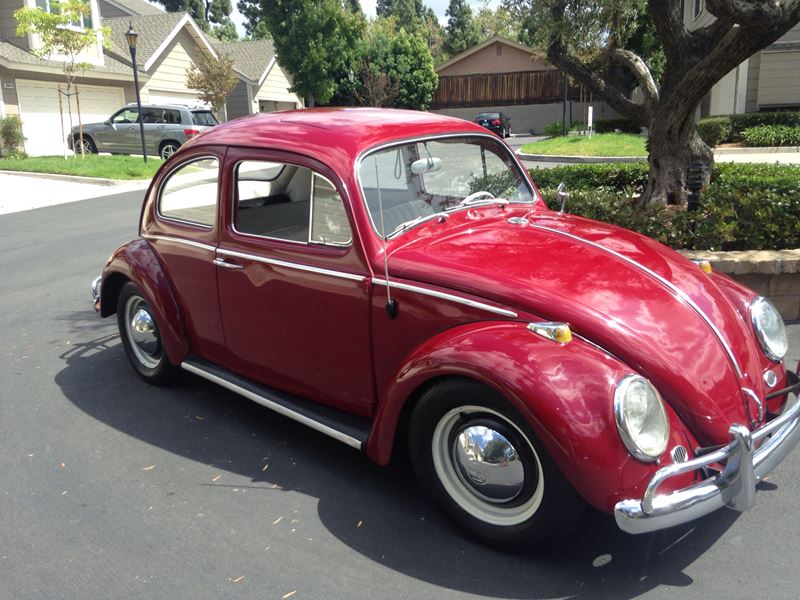 1964 Volkswagen Beetle for sale by owner in Goleta