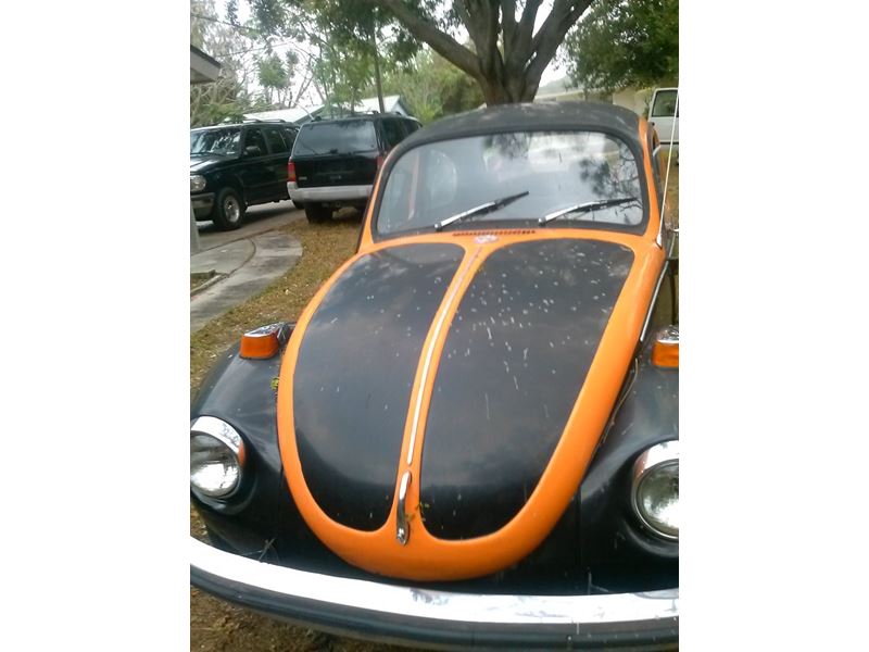 1972 Volkswagen Beetle for sale by owner in LAKE PLACID