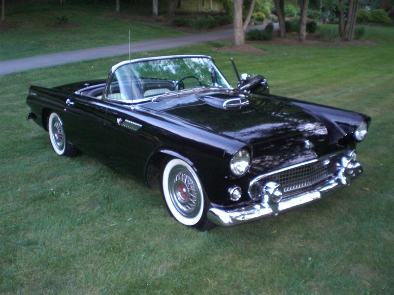 Ford thunderbird 1955 sale california #2