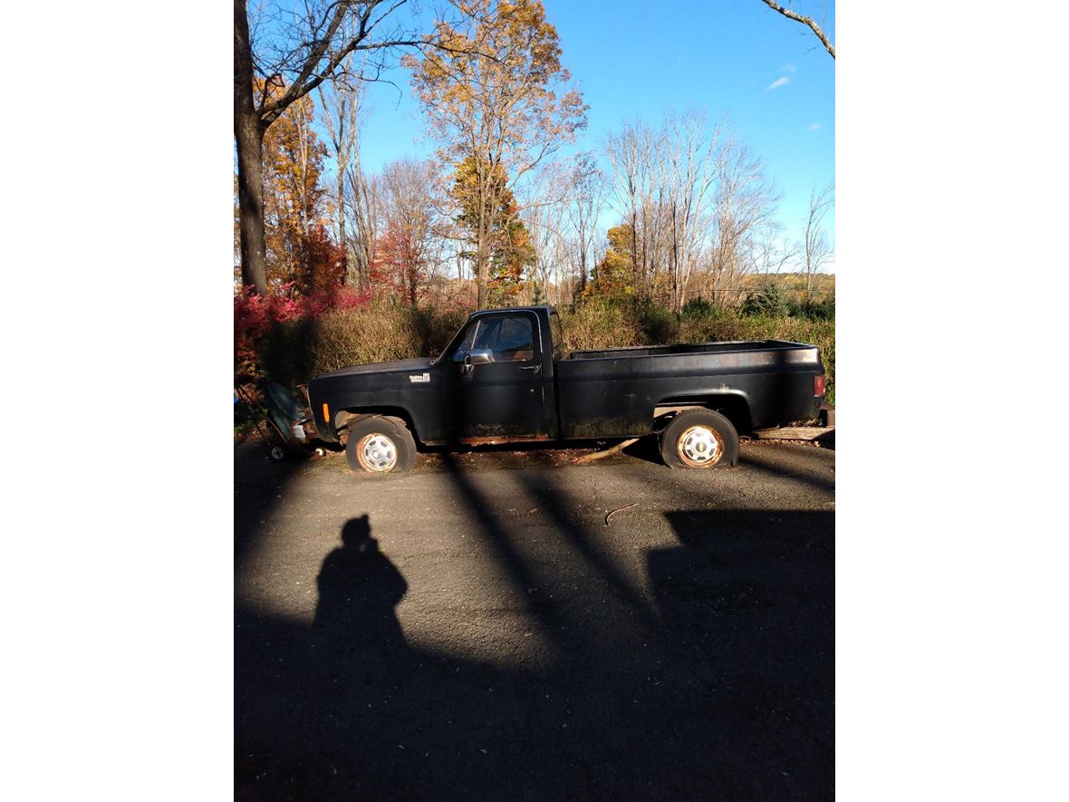 1980 Chevrolet C/K 10 Series for sale by owner in Mendham