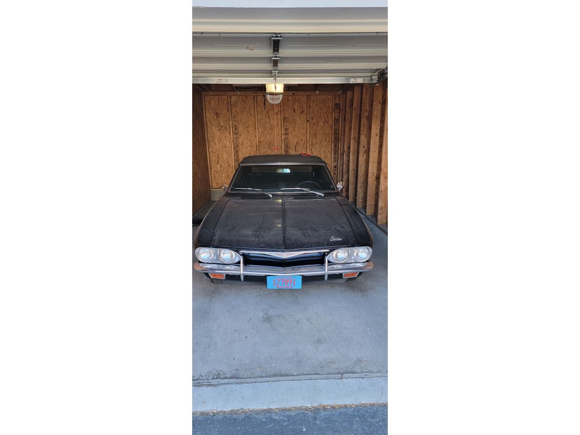 1965 Chevrolet Corvair for sale by owner in Fort Collins