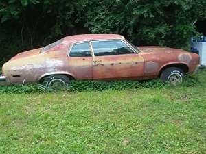 Beige 1974 Chevrolet Nova 