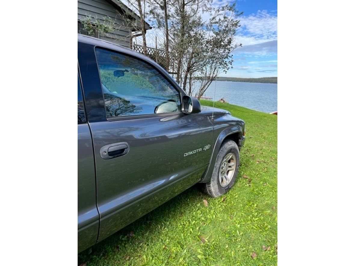 2002 Dodge Dakota Private Car Sale in Hubbard Lake, MI 49747