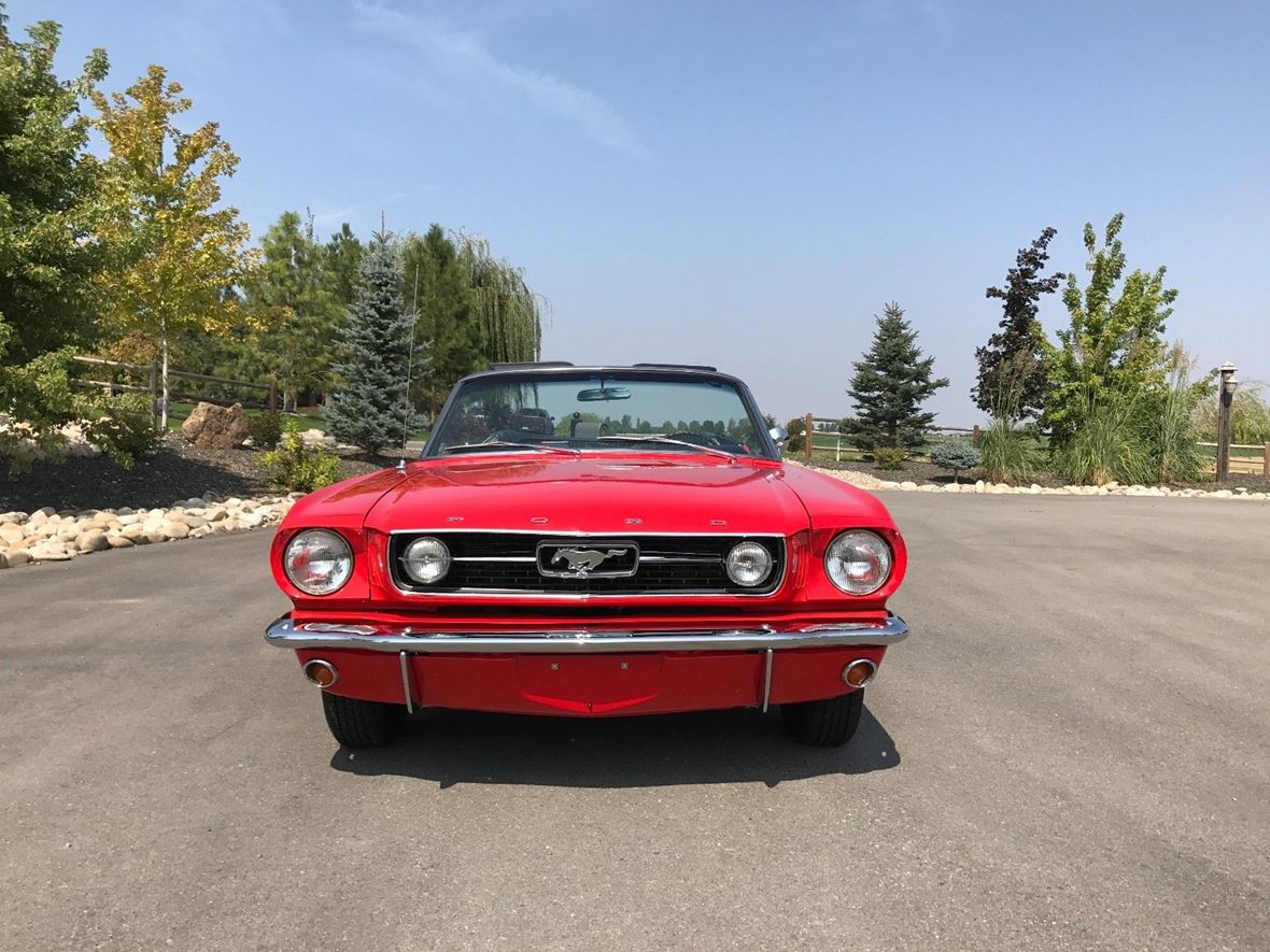 1965 Ford Mustang for sale by owner in Sparta