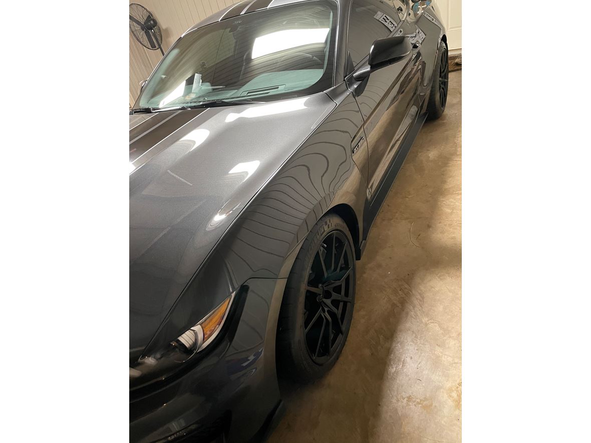 2018 Ford Shelby GT350 for sale by owner in Florence