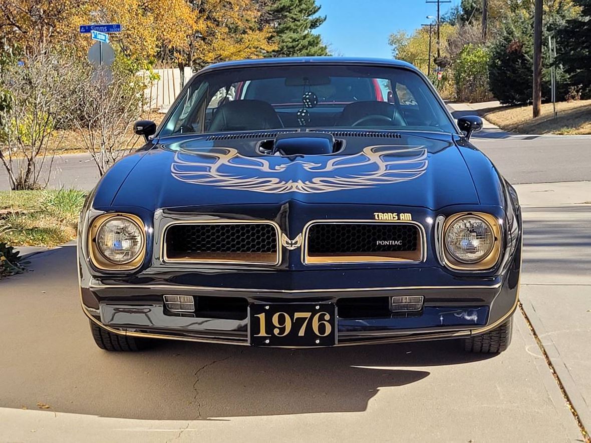 1976 Pontiac Firebird for sale by owner in Lakewood