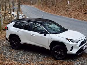 Yellow 2020 Toyota Rav4