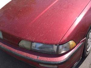 Red 1990 Acura Integra