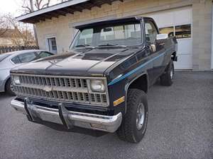 Blue 1982 Chevrolet C/K 10 Series