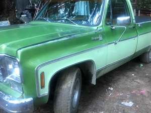 Green 1976 Chevrolet Cheyenne 