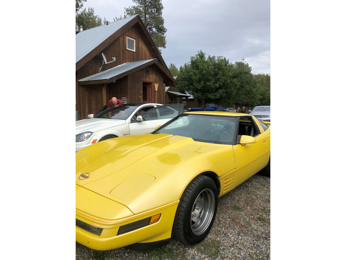 1984 Chevrolet Corvette for sale by owner in Auburn