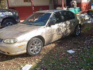 Gold 2003 Chevrolet Malibu