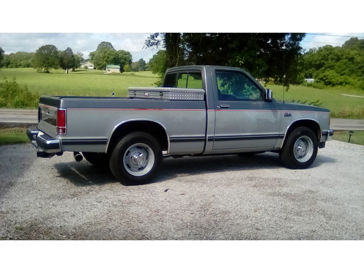 1989 Chevrolet S-10 (TAHOE EDITION) for sale by owner in Kingston
