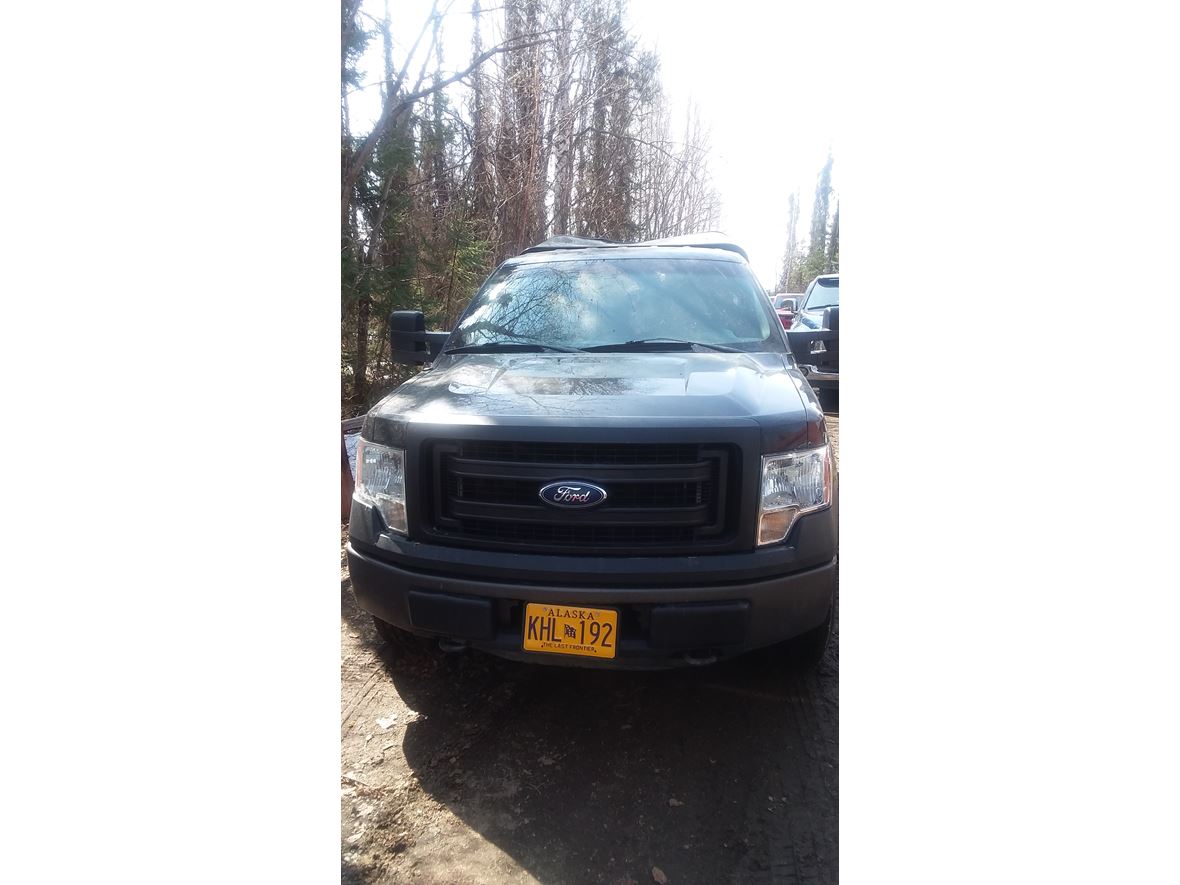 2013 Ford F-150 for sale by owner in Willow
