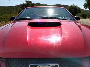 Red 2002 Ford Mustang
