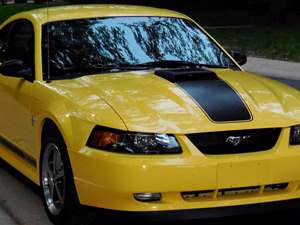 Yellow 2003 Ford Mustang