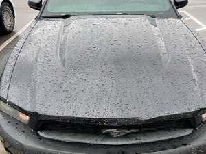 Black 2010 Ford Mustang