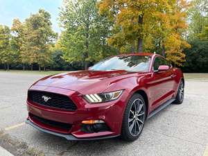 Red 2016 Ford Mustang