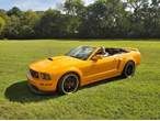 2007 Ford Mustang GT Premium convertible  for sale by owner