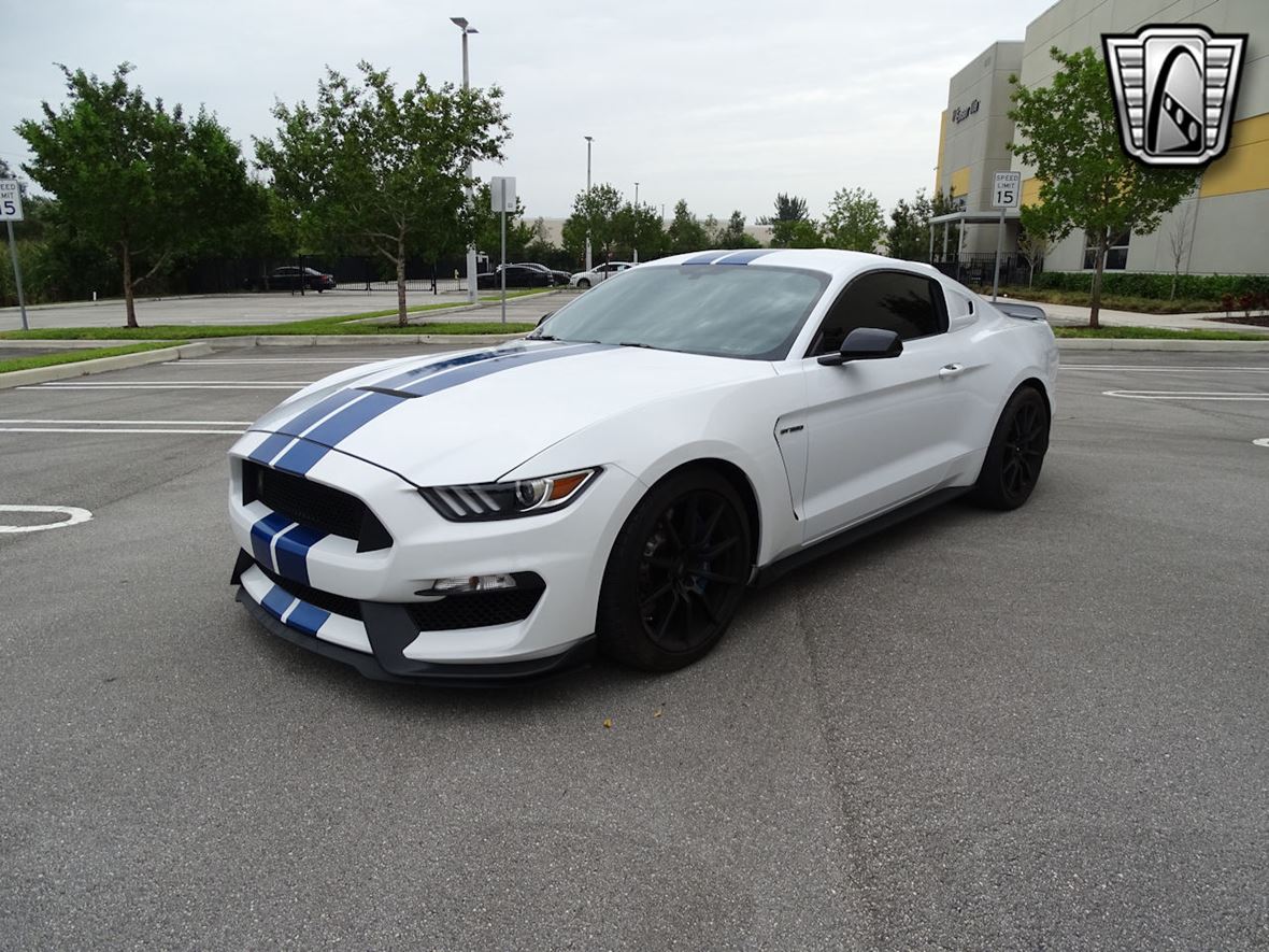 2017 Ford Shelby GT350 for sale by owner in Homestead