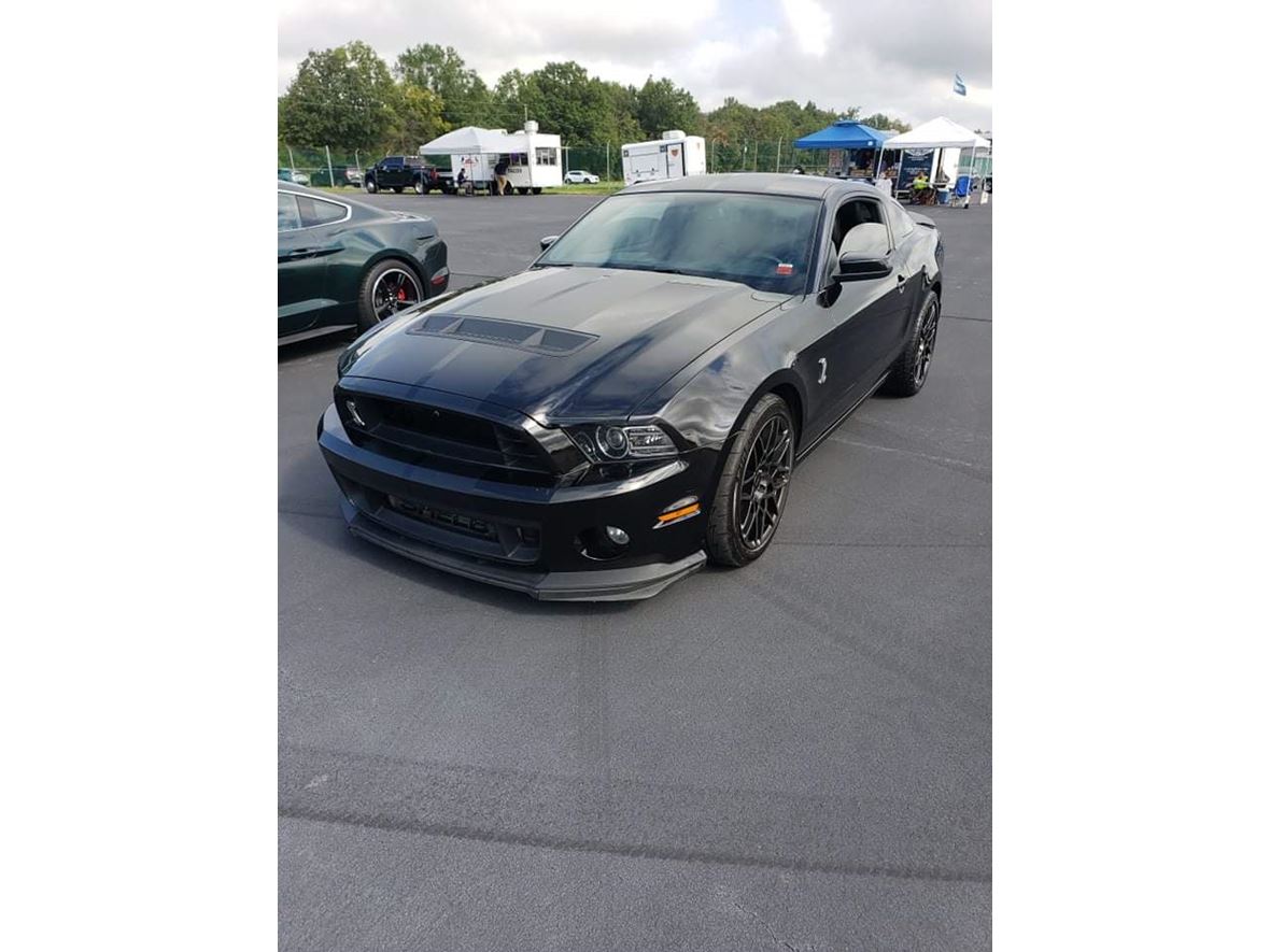 2013 Ford Shelby GT500 for sale by owner in Gainesville