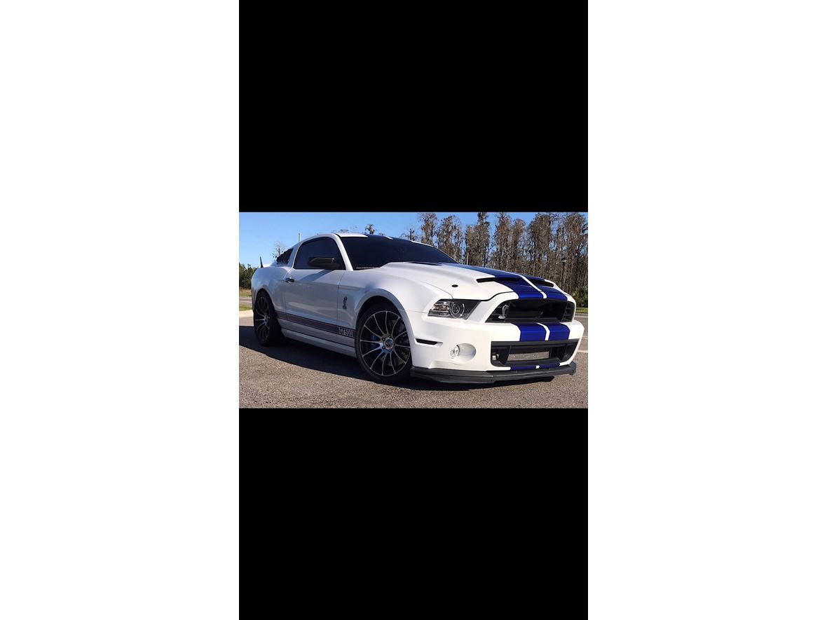 2014 Ford Shelby GT500 for sale by owner in Wesley Chapel