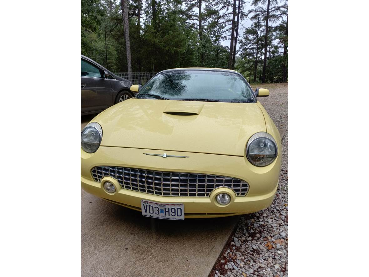2002 Ford Thunderbird for sale by owner in Birch Tree