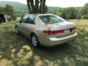 Gold 2003 Honda Accord