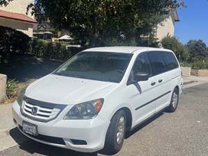 White 2010 Honda Odyssey