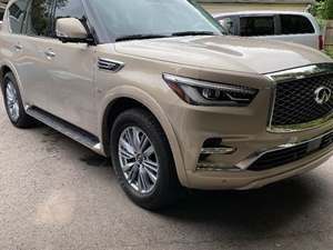 Gold 2019 Infiniti QX80