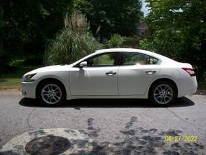 2011 Nissan Maxima with White Exterior