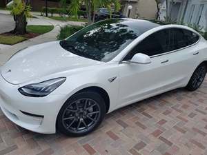 2020 Tesla Model 3 with White Exterior