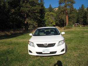White 2010 Toyota Corolla