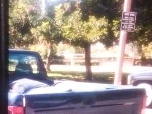 1995 Toyota Tacoma with Blue Exterior