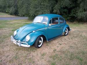 1966 Volkswagen Beetle with Other Exterior