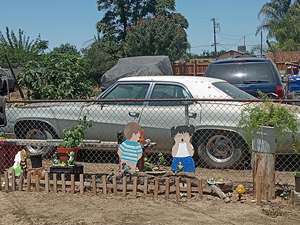 Green 1969 Buick Wildkat