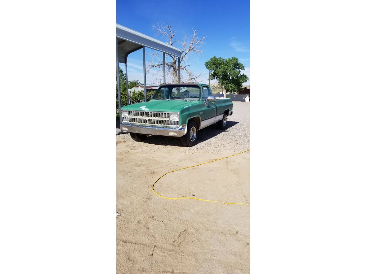 1981 Chevrolet C/K 10 Series for sale by owner in Bloomfield