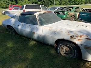 White 1978 Chevrolet Camaro