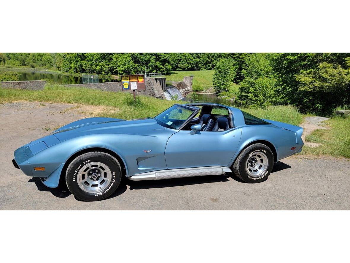 1979 Chevrolet Corvette for sale by owner in Apple Valley