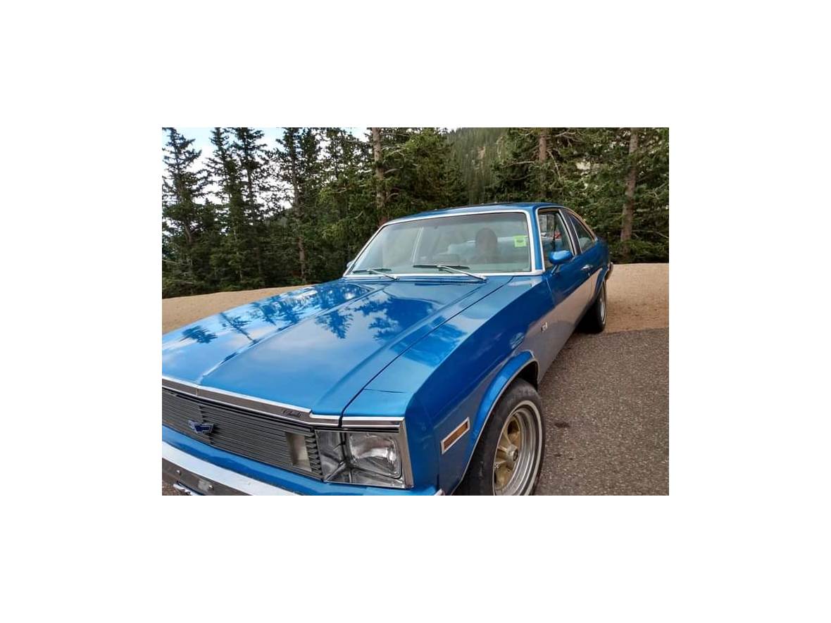1978 Chevrolet Nova for sale by owner in Blackduck