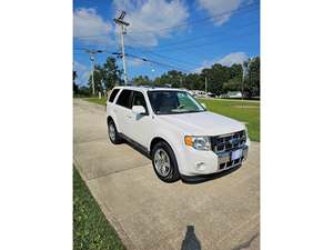 2011 Ford Escape with White Exterior