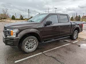 Brown 2019 Ford F-150
