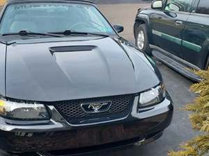 Black 1999 Ford Mustang