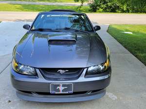 Gray 2003 Ford Mustang