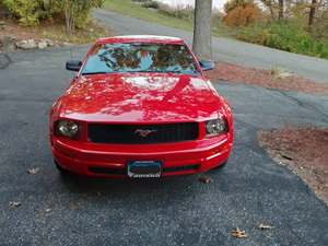 Red 2007 Ford Mustang