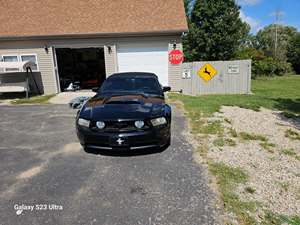 Black 2010 Ford Mustang