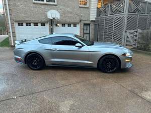 Silver 2021 Ford Mustang