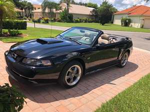 Black 2003 Ford Mustang GT